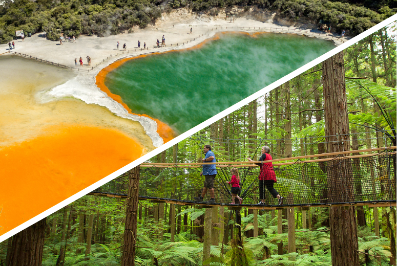 Rotorua Highlights Tour including Wai-O-Tapu, Redwoods Treewalk & Lunch Small Group Tour from Auckland - Photo 1 of 13